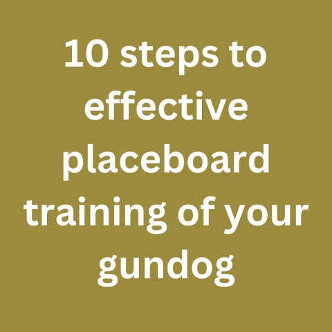 10 steps to effective placeboard training of your gundog