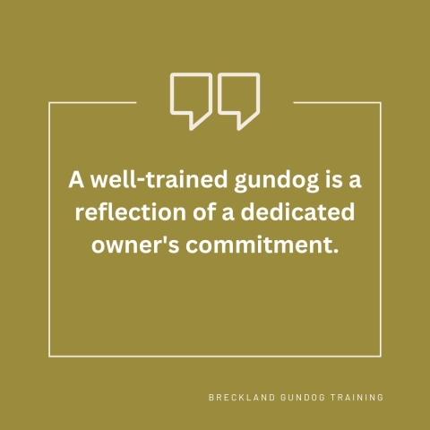 A Well-Trained Gundog: A Reflection of a Dedicated Owner's Commitment