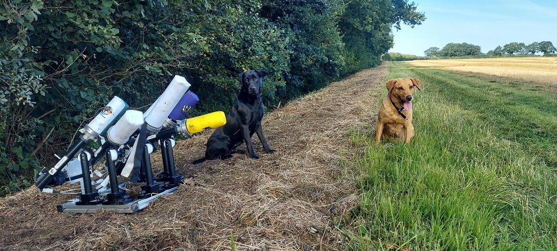 Gun dog training near me Breckland Gundog Training
